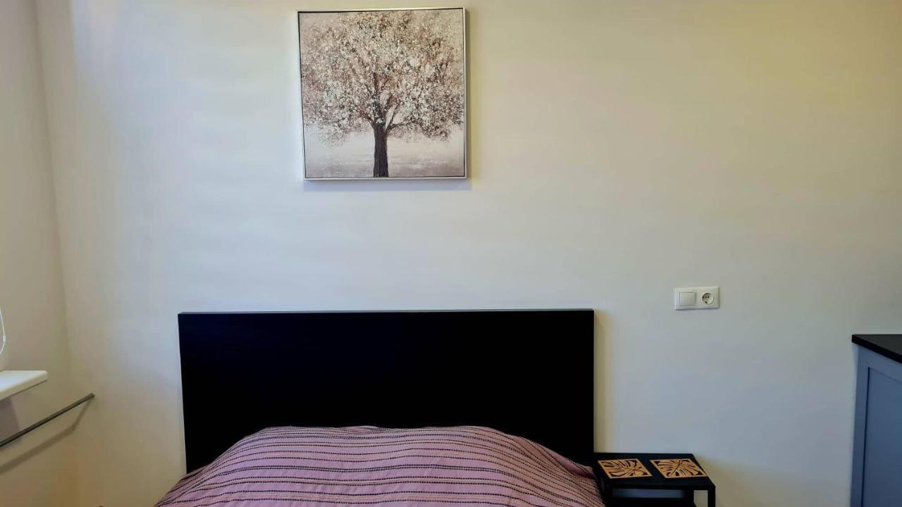 Taikos 8 Apartment Klaipeda